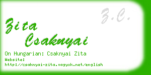 zita csaknyai business card